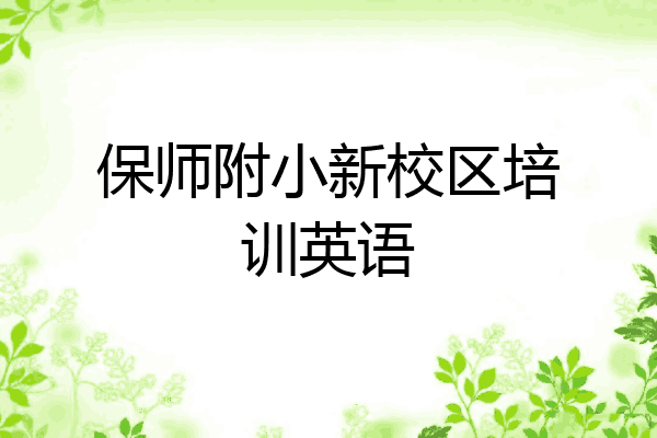 保师附小新校区培训英语