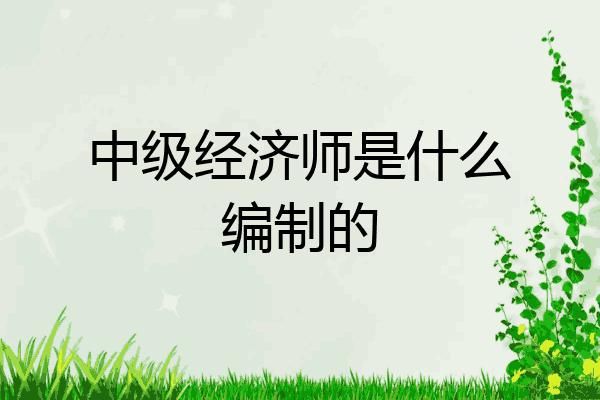 中级经济师是什么编制的