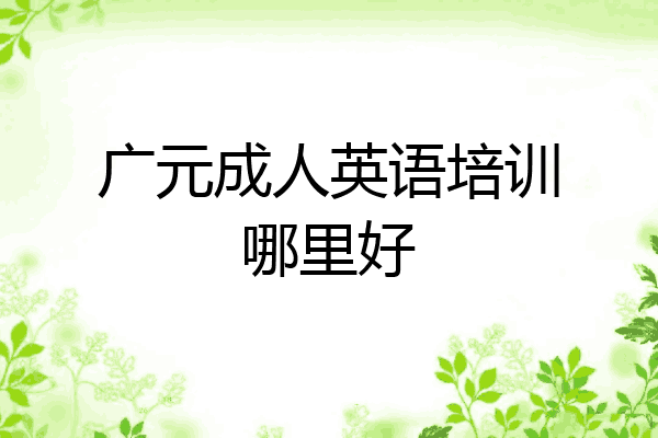 广元成人英语培训哪里好