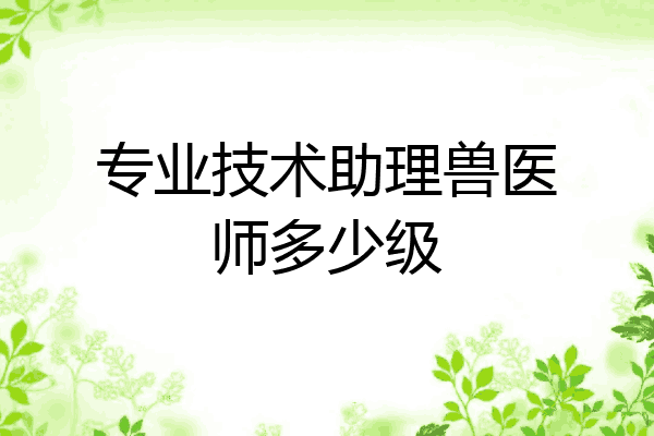 专业技术助理兽医师多少级