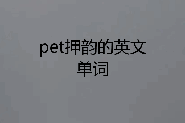 pet押韵的英文单词