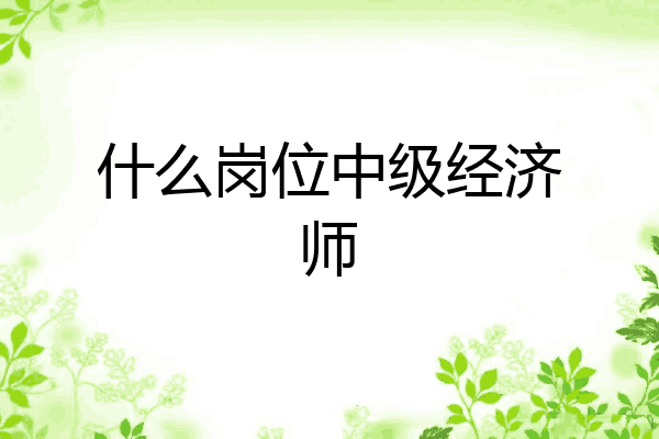 什么岗位中级经济师