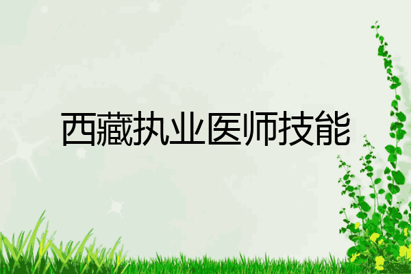 西藏执业医师技能
