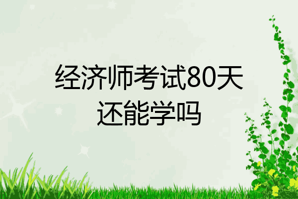 经济师考试80天还能学吗