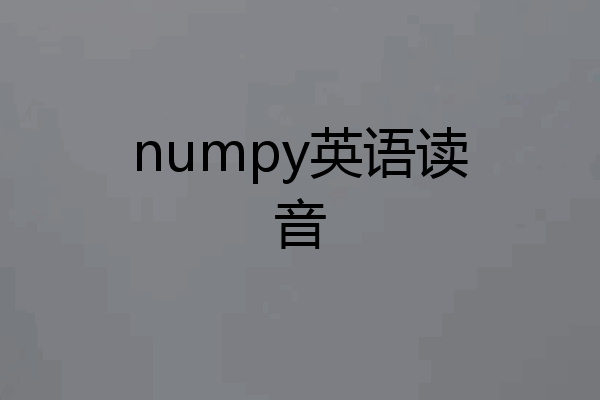 numpy英语读音