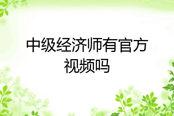 中级经济师有官方视频吗