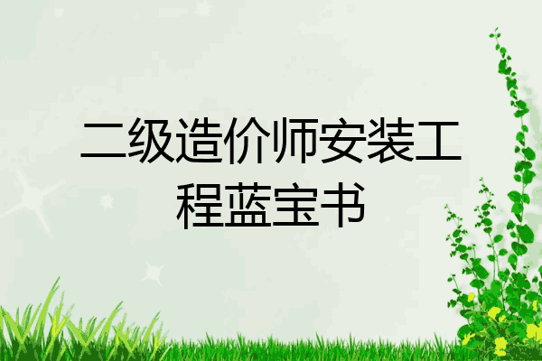二级造价师安装工程蓝宝书