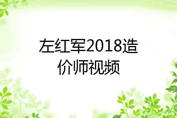左红军2018造价师视频
