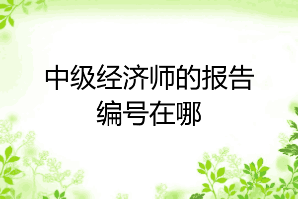 中级经济师的报告编号在哪