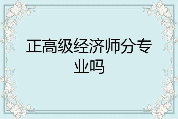 正高级经济师分专业吗