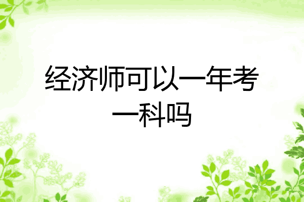 经济师可以一年考一科吗