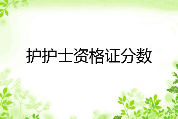 护护士资格证分数