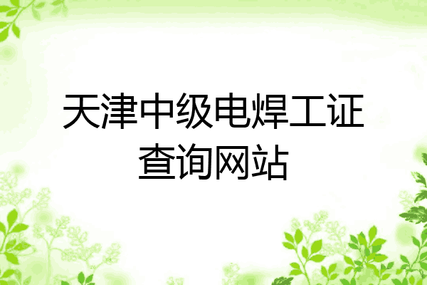 天津中级电焊工证查询网站