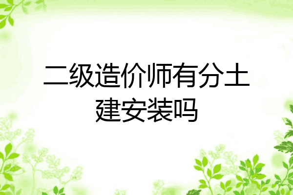 二级造价师有分土建安装吗