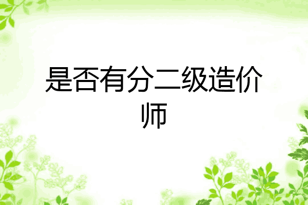 是否有分二级造价师
