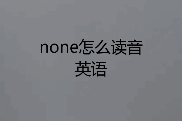 none怎么读音英语