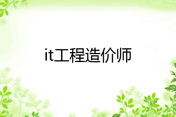 it工程造价师