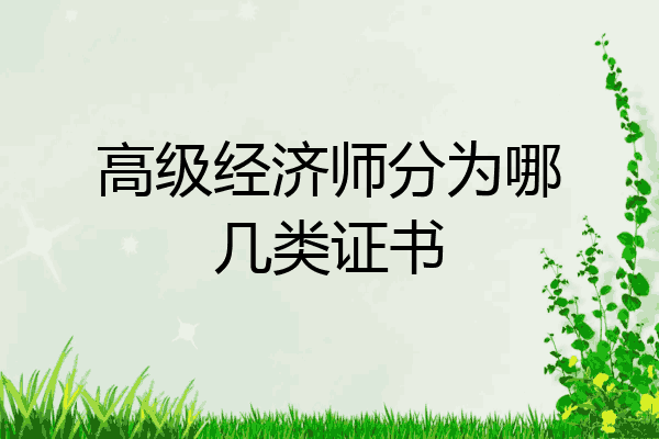高级经济师分为哪几类证书