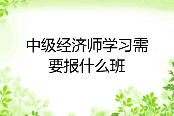 中级经济师学习需要报什么班
