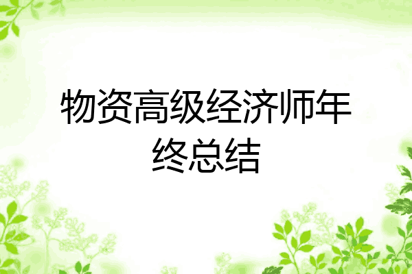 物资高级经济师年终总结