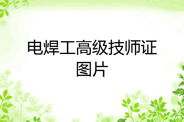 电焊工高级技师证图片