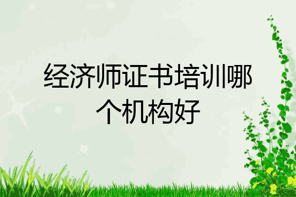 经济师证书培训哪个机构好