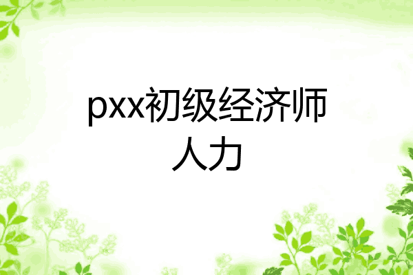 pxx初级经济师人力