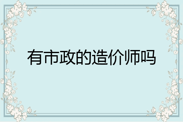 有市政的造价师吗