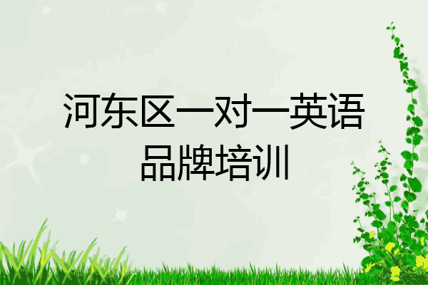 河东区一对一英语品牌培训