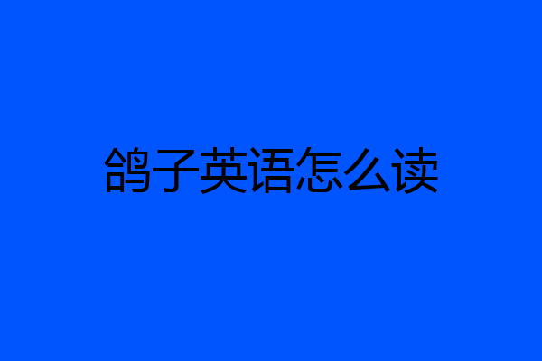 鸽子英语怎么读