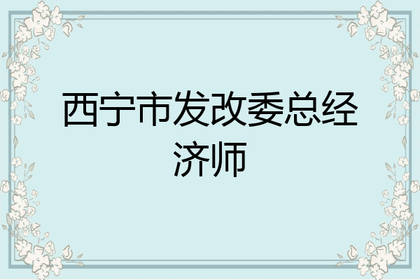 西宁市发改委总经济师
