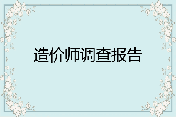 造价师调查报告