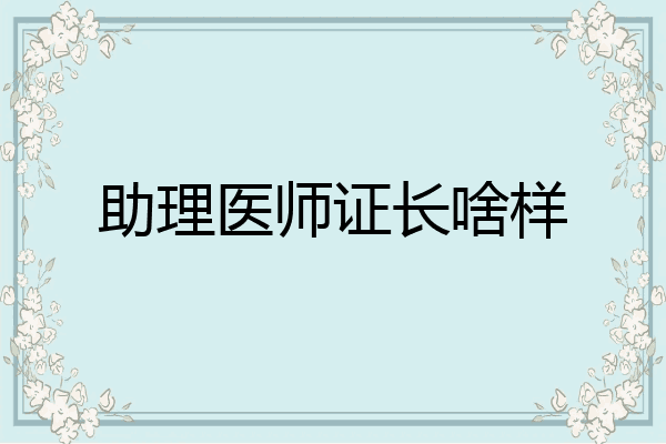 助理医师证长啥样
