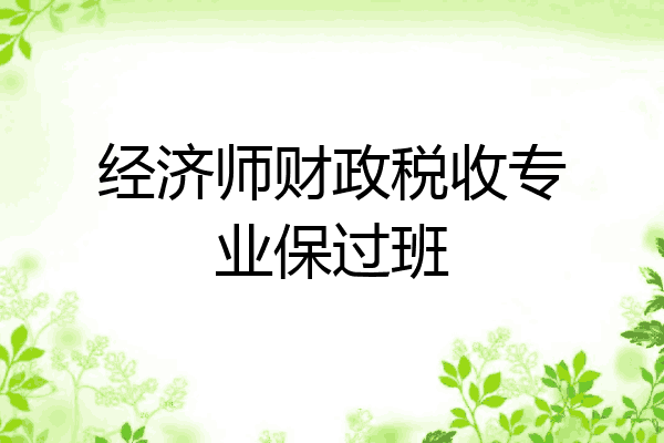 经济师财政税收专业保过班