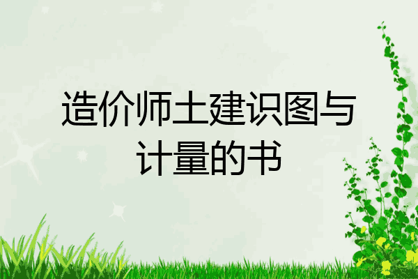 造价师土建识图与计量的书