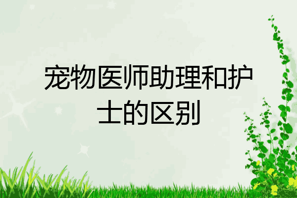 宠物医师助理和护士的区别