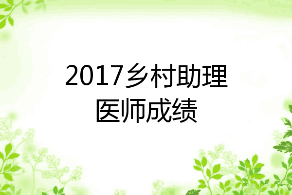 2017乡村助理医师成绩