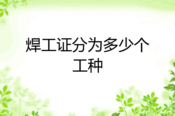 焊工证分为多少个工种