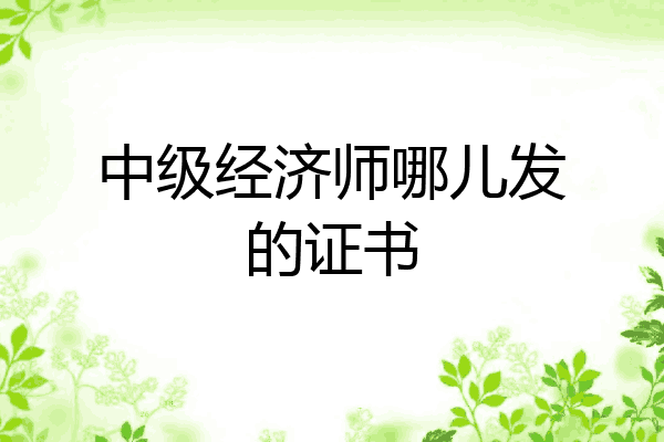 中级经济师哪儿发的证书