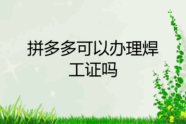 拼多多可以办理焊工证吗