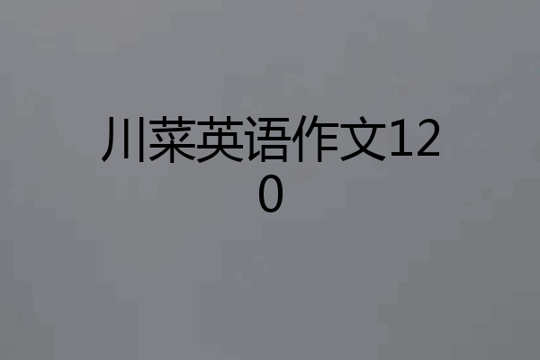 川菜英语作文120
