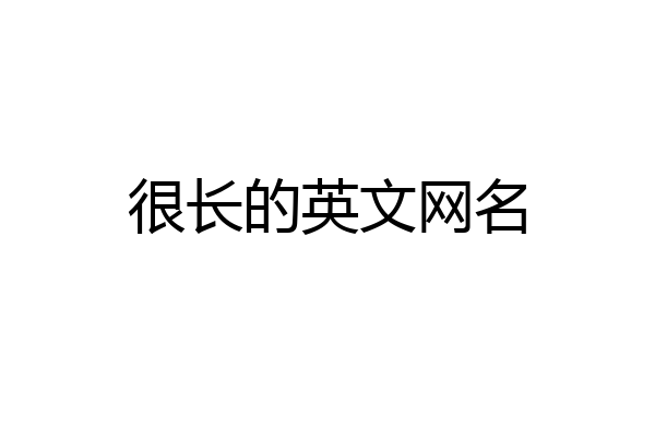 很长的英文网名