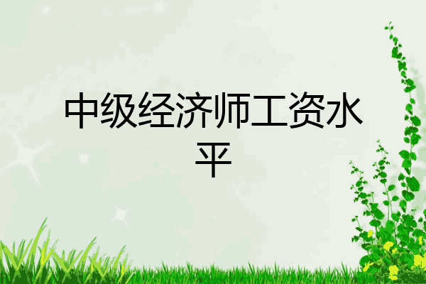 中级经济师工资水平