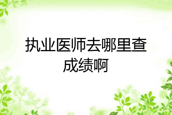 执业医师去哪里查成绩啊