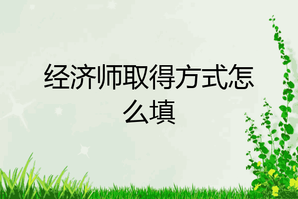 经济师取得方式怎么填
