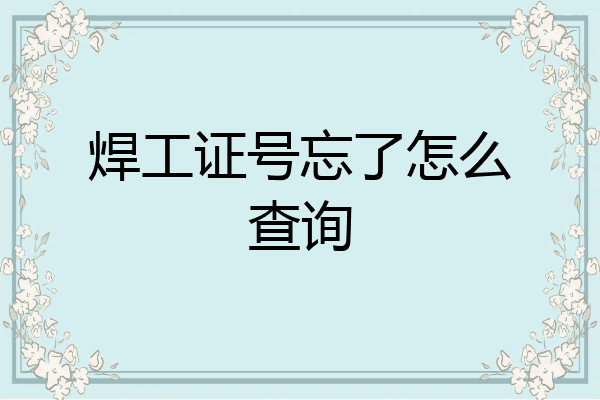 焊工证号忘了怎么查询