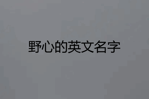 野心的英文名字