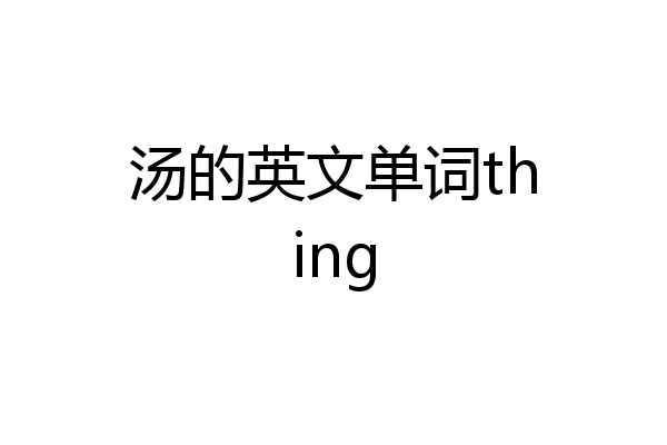 汤的英文单词thing