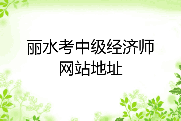 丽水考中级经济师网站地址