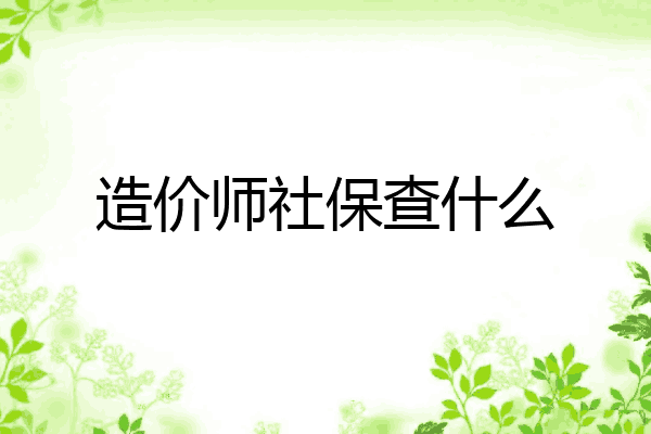造价师社保查什么